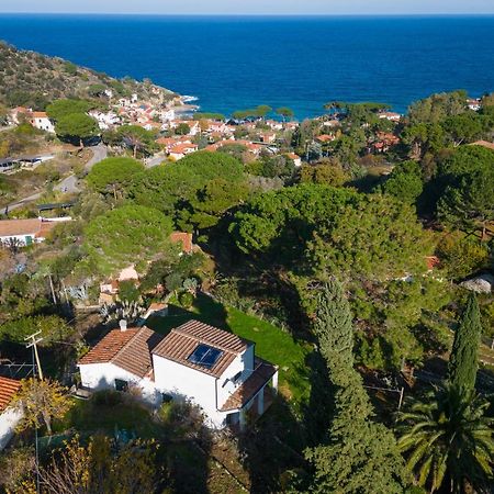 Villa Caterina Quiete E Mare-Goelba SantʼAndrea エクステリア 写真