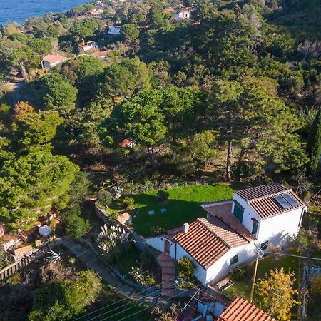 Villa Caterina Quiete E Mare-Goelba SantʼAndrea エクステリア 写真