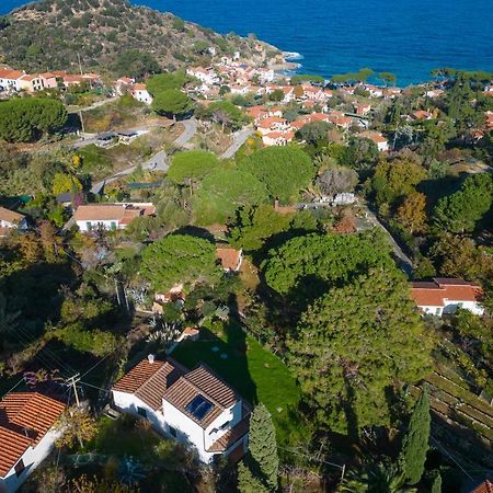 Villa Caterina Quiete E Mare-Goelba SantʼAndrea エクステリア 写真