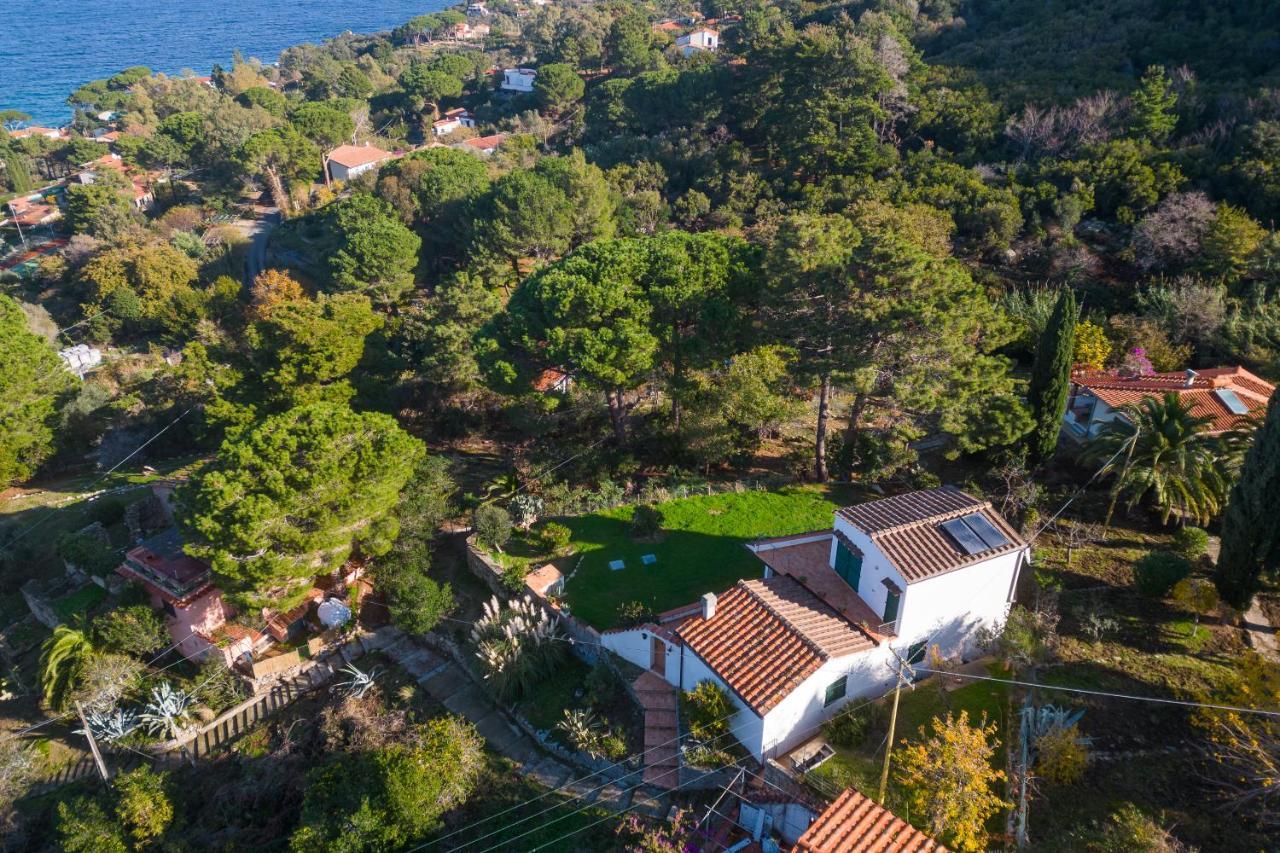 Villa Caterina Quiete E Mare-Goelba SantʼAndrea エクステリア 写真