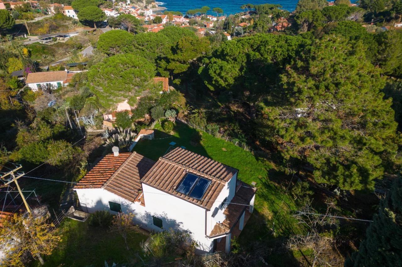 Villa Caterina Quiete E Mare-Goelba SantʼAndrea エクステリア 写真
