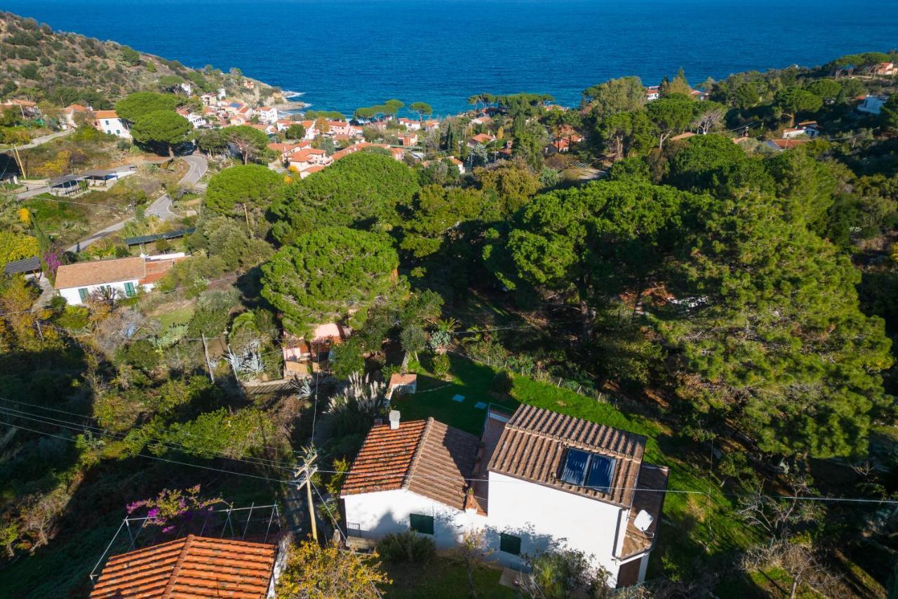 Villa Caterina Quiete E Mare-Goelba SantʼAndrea エクステリア 写真